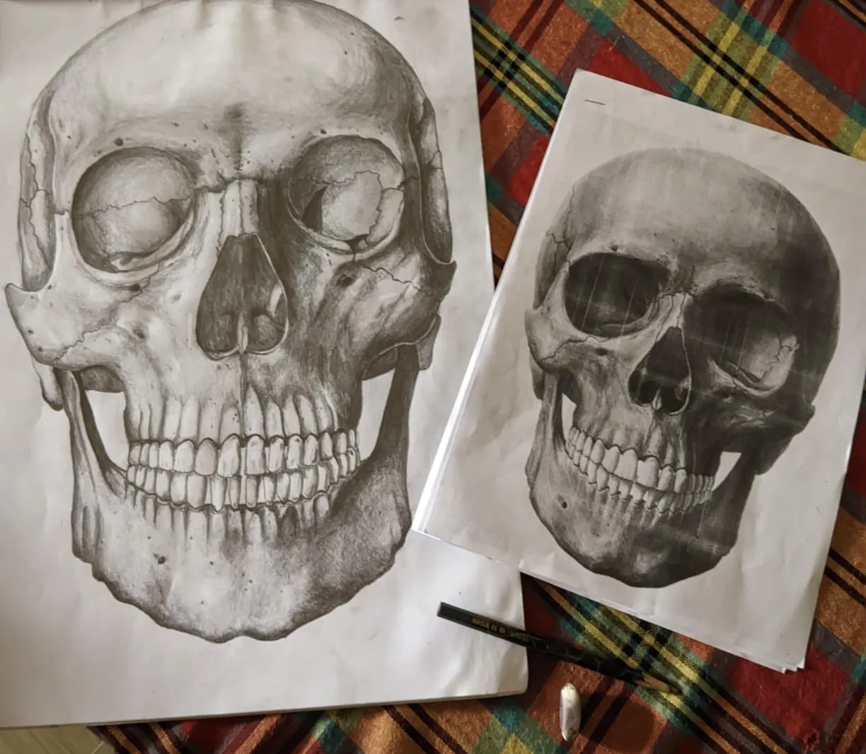 Pencil Sketch 22